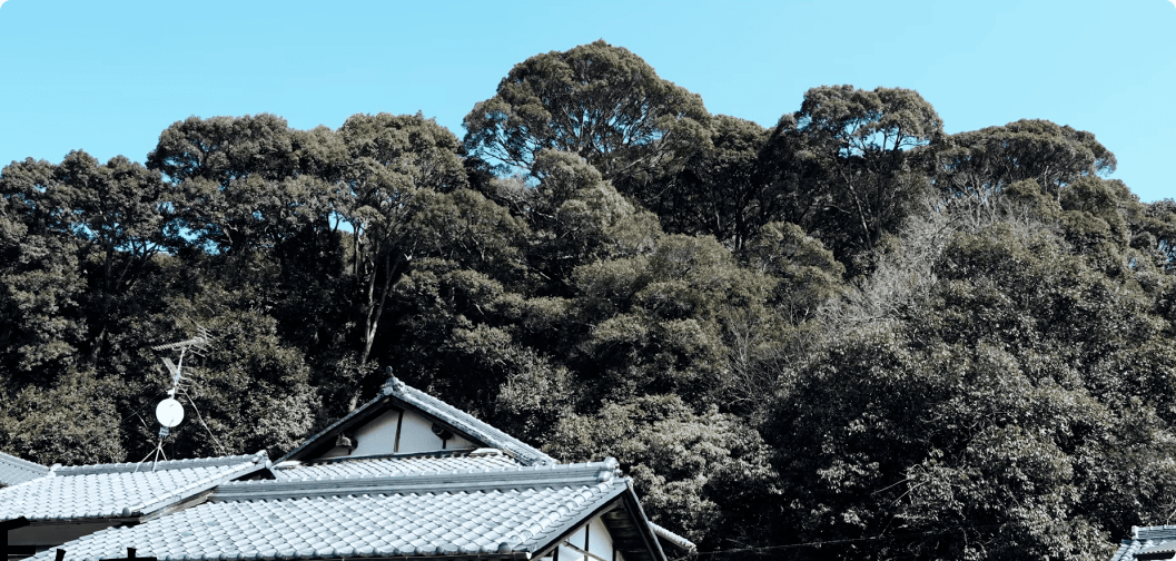 緑豊かな山を背景にした日本家屋