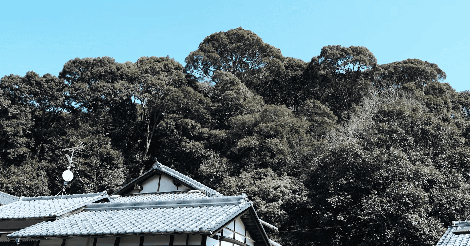 古民家を活かした空間