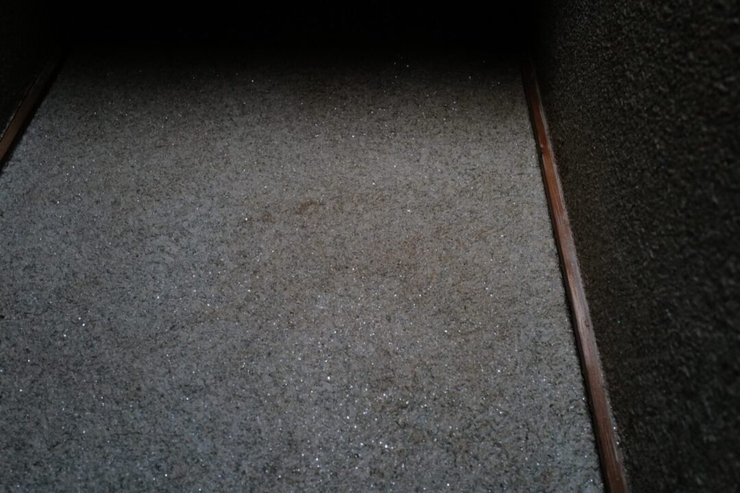 新旧まじわう南葛葉の日本家屋 写真20