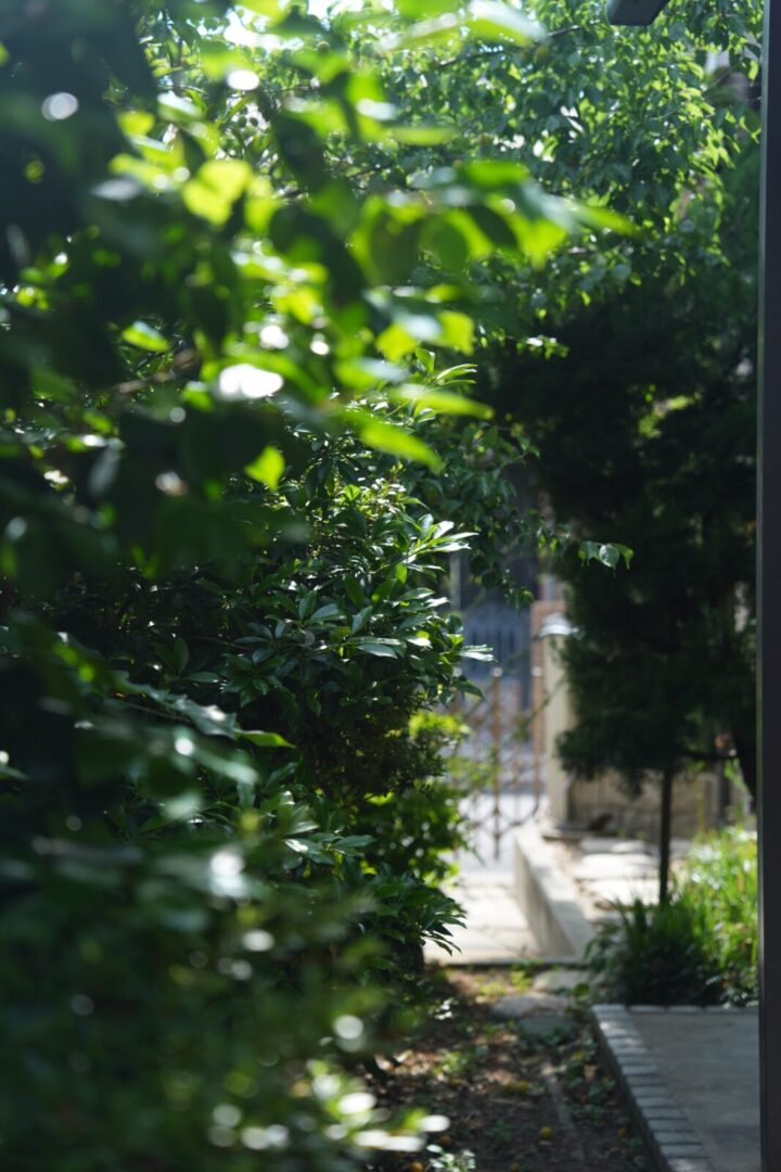 南楠の里町の梅のなる家 写真21