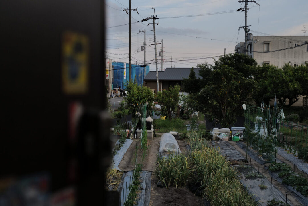 新旧まじわう南樟葉の日本家屋 写真4