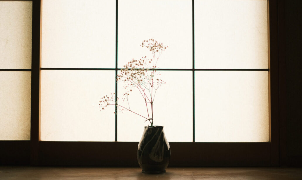 南楠の里町の梅のなる家